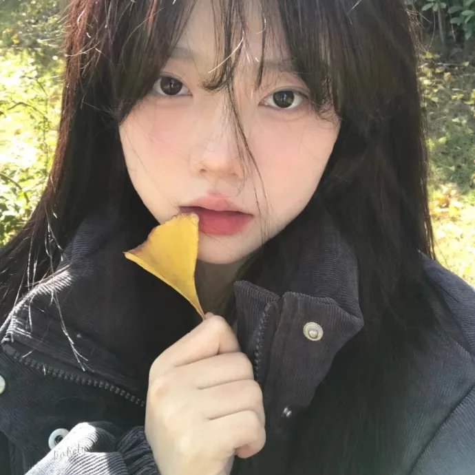 诡盒